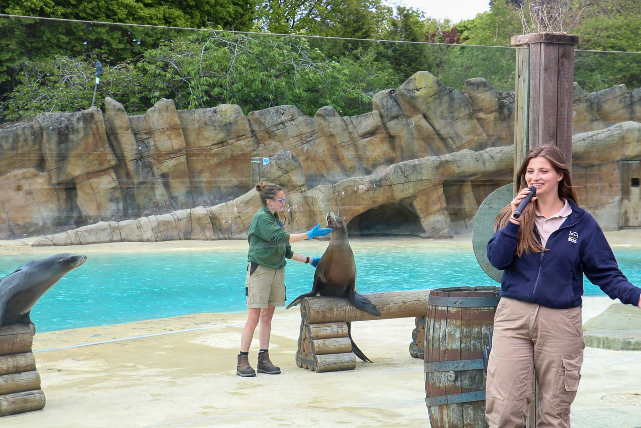 Blackpool Zoo Membership Unlimited Visits Perks